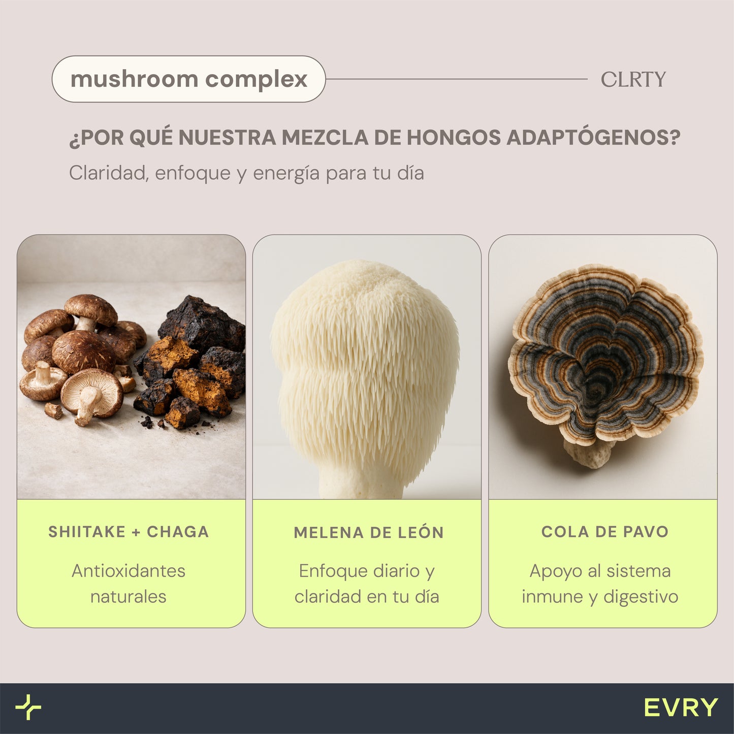 03 CLRTY - Mushroom Complex